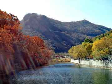 管家婆黑白马报图库，速康